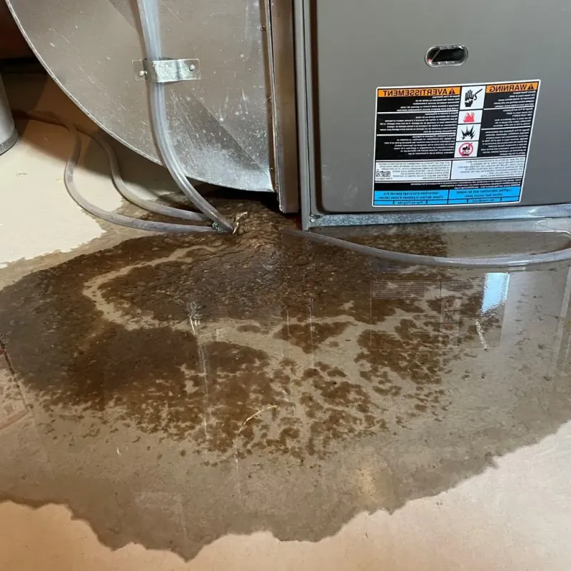 Pipe Burst and Leak Restoration in Luna County, NM