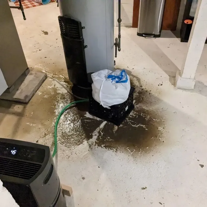 Sewage Backup Cleanup Service in Luna County, NM
